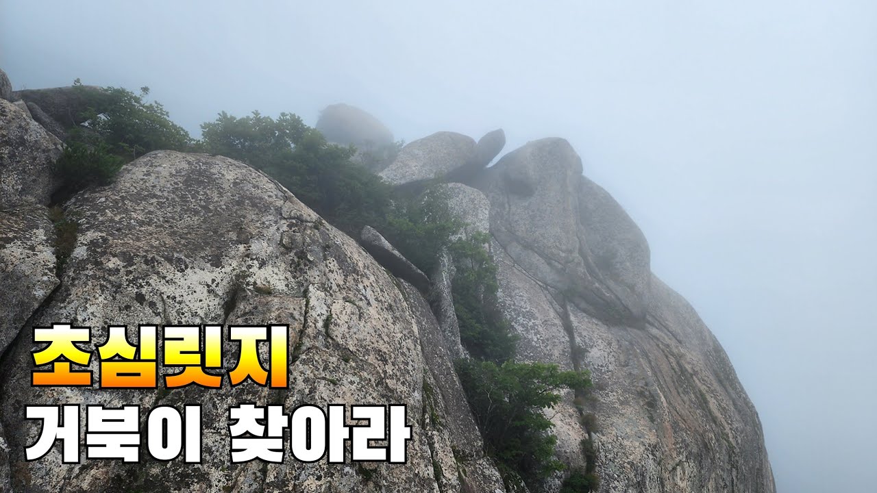 271회 팔공산 초심릿지 타고 거북바위 찾아라 미션 실행