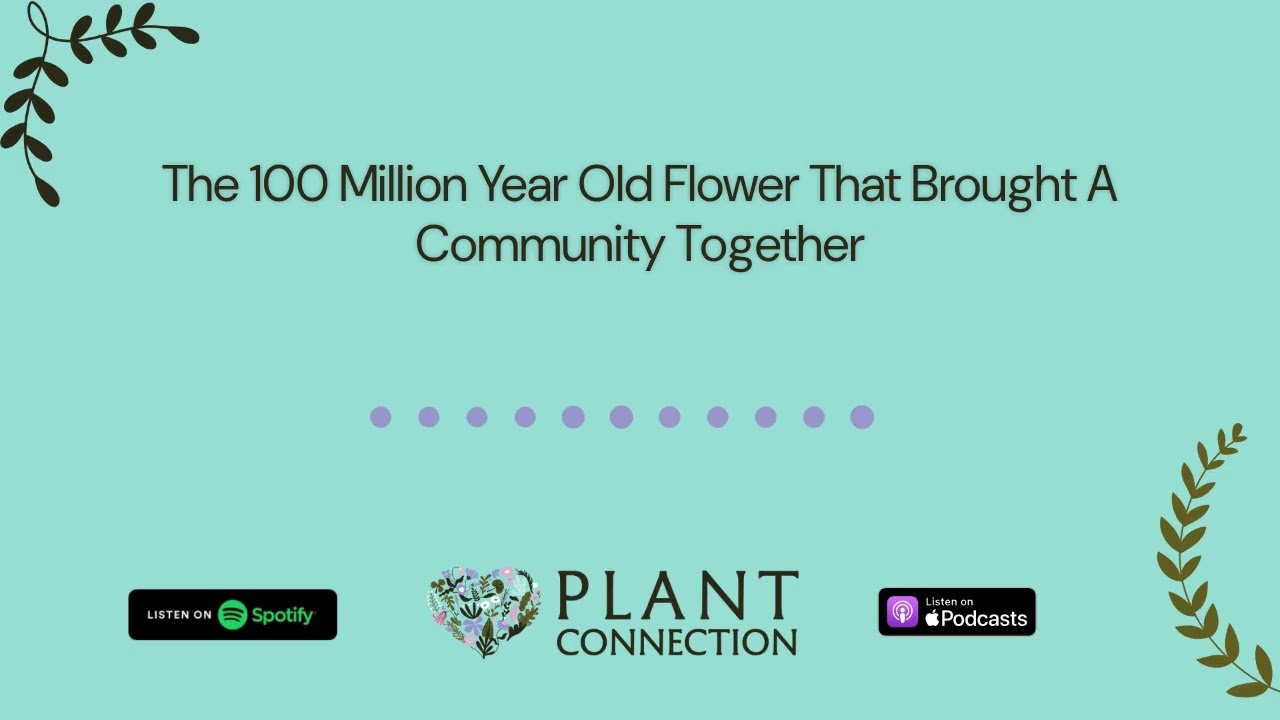 The 100 Million Year Old Flower That Brought A Community Together | Plant Connection: A Plant...