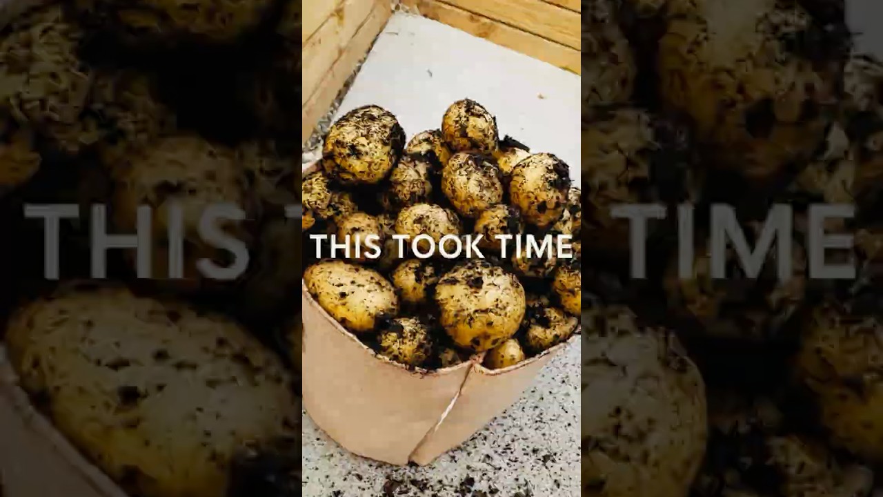 Growing Food Isn’t About Harvests