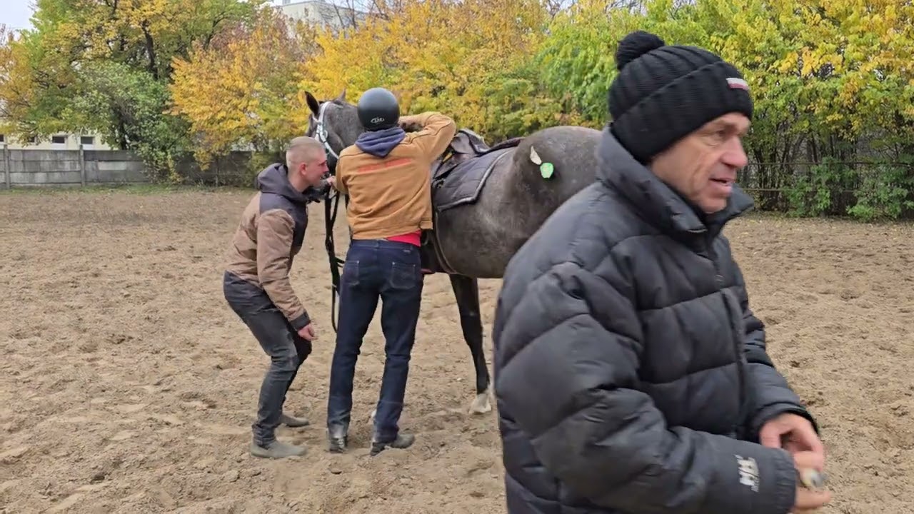 2024. november 19.(1)