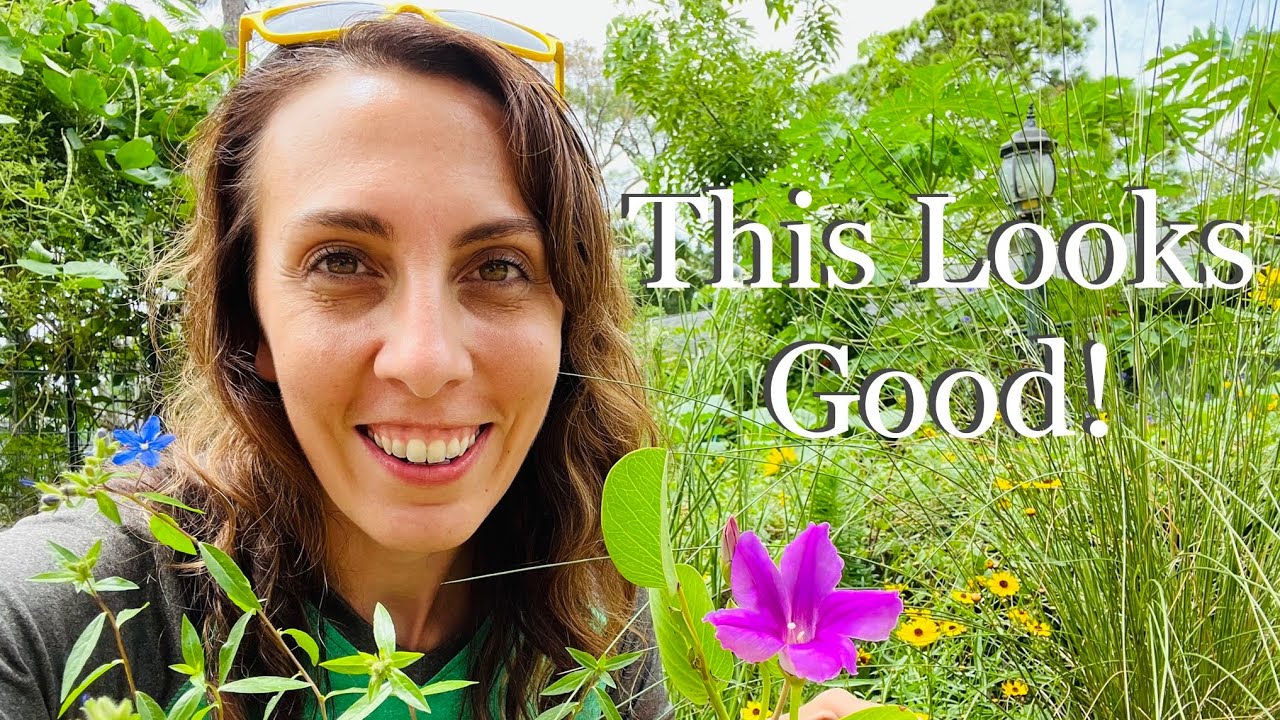Easy Plants for Florida: Installing a Gorgeous Florida Native Plant Landscape