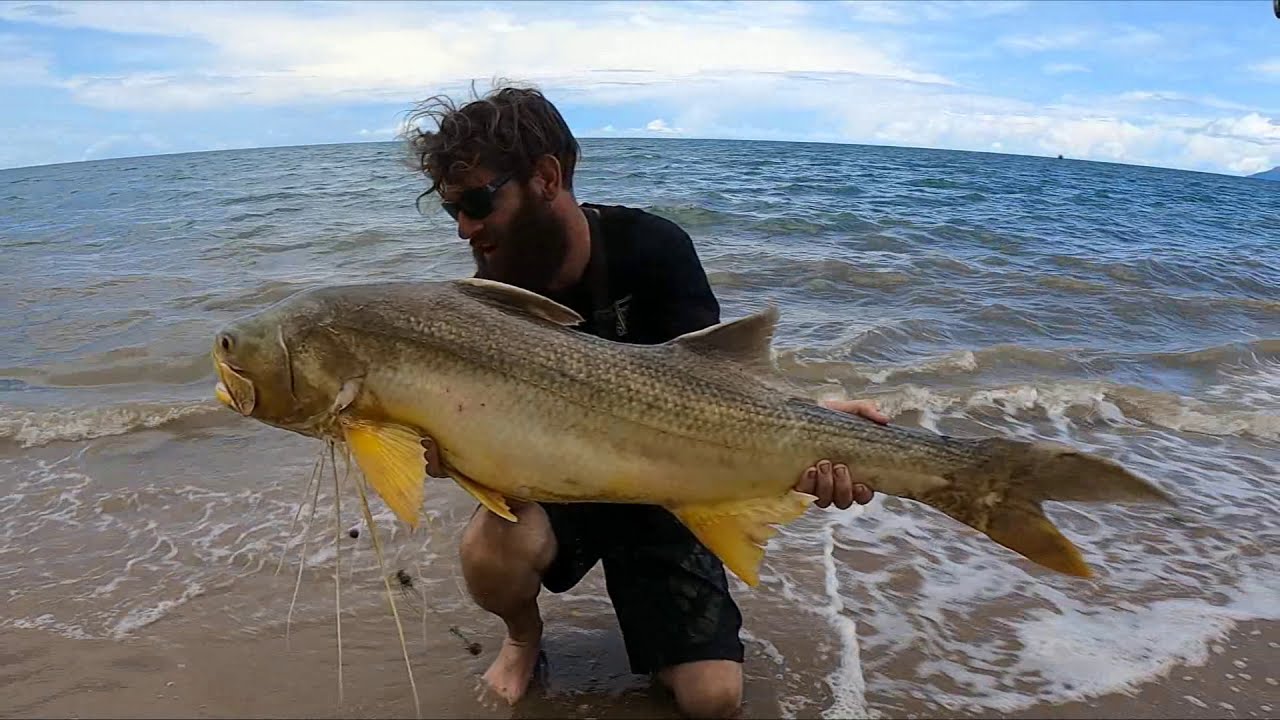 MONSTER THREADFIN SALMON FROM THE BEACH IN CAIRNS