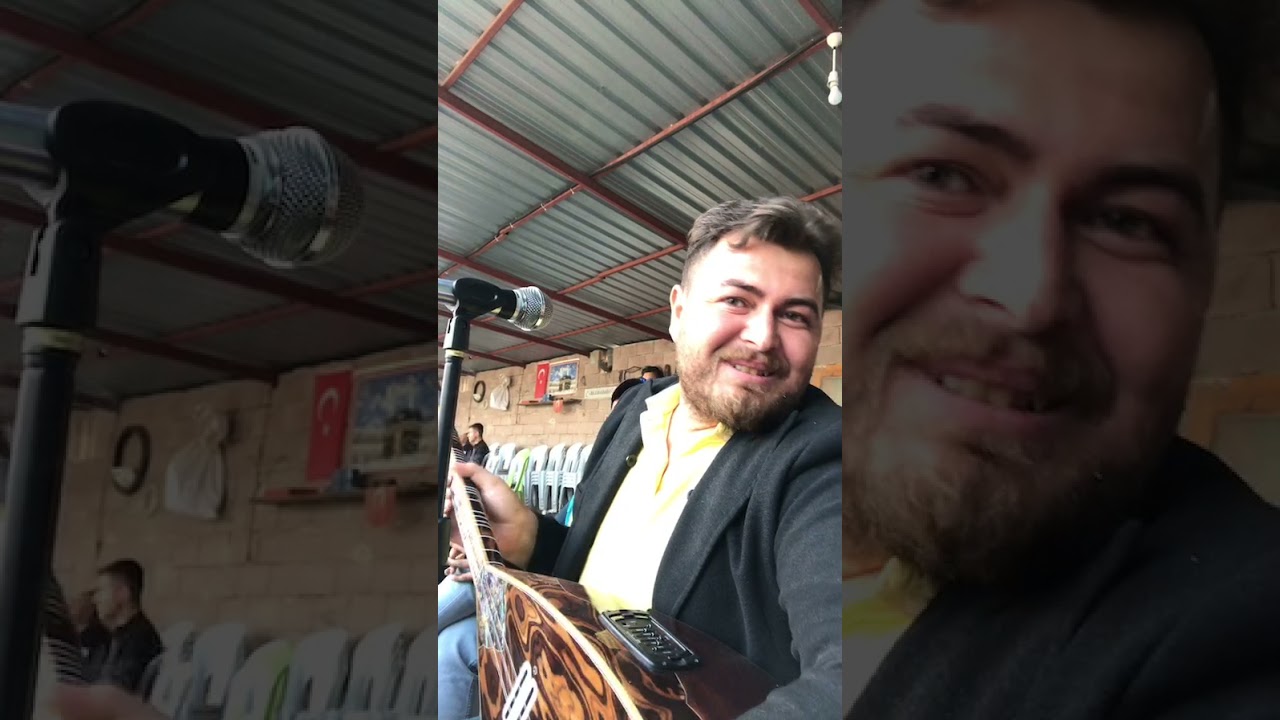 Halay havaları