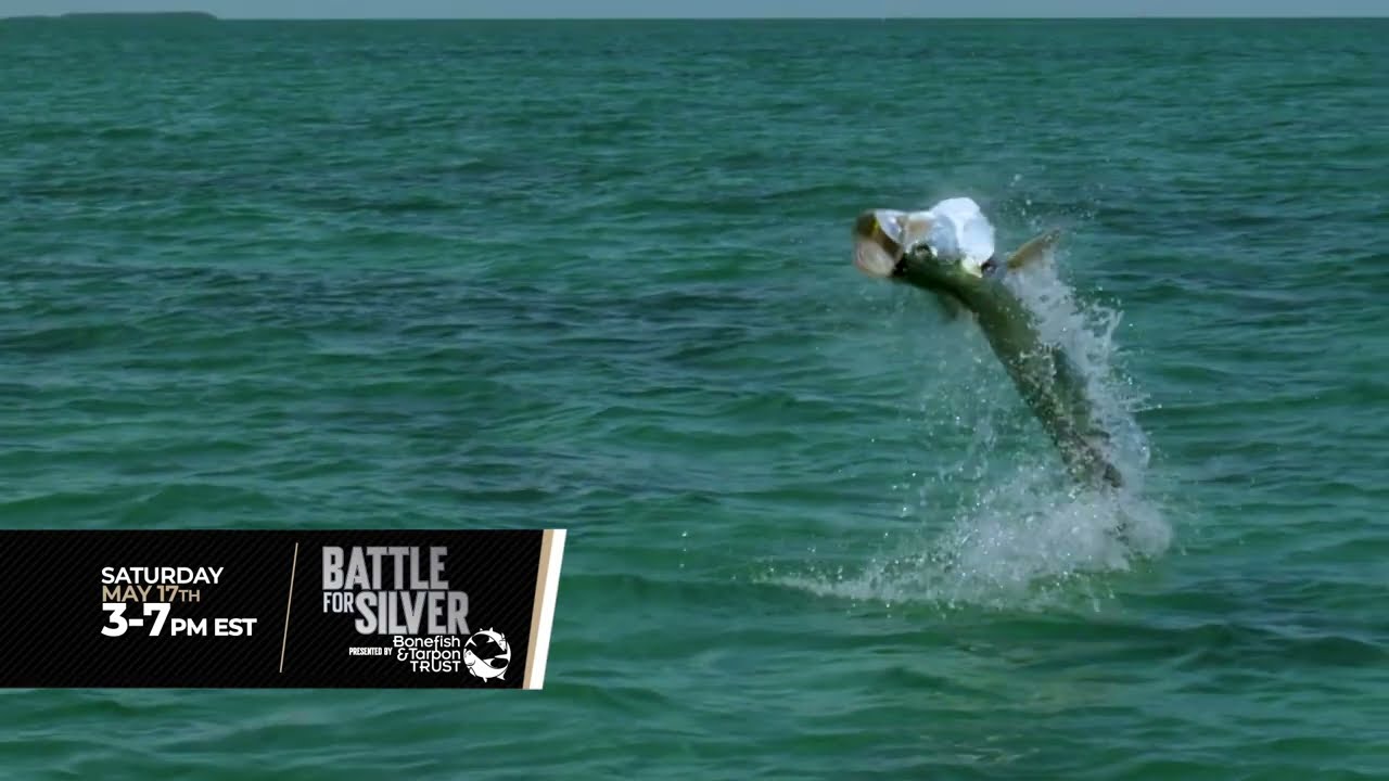 Battle for Silver | May 17 on Waypoint TV