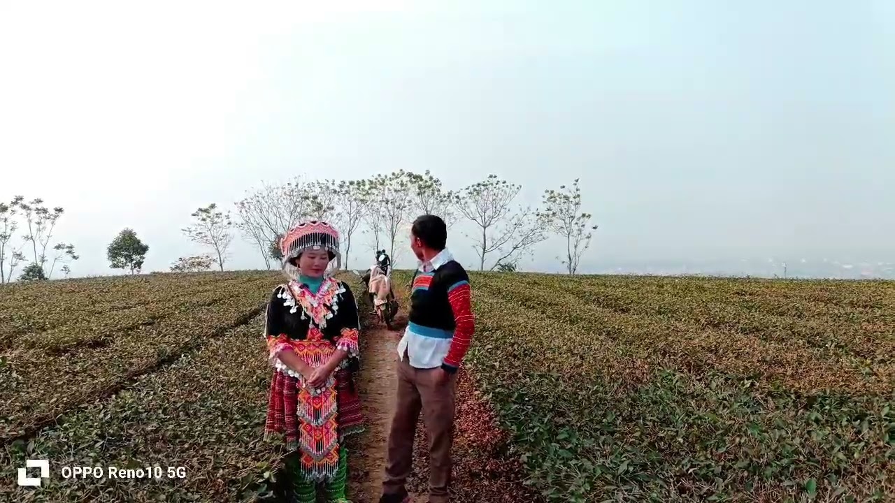 Xia vaj yang thao lug txaj nyob NL 