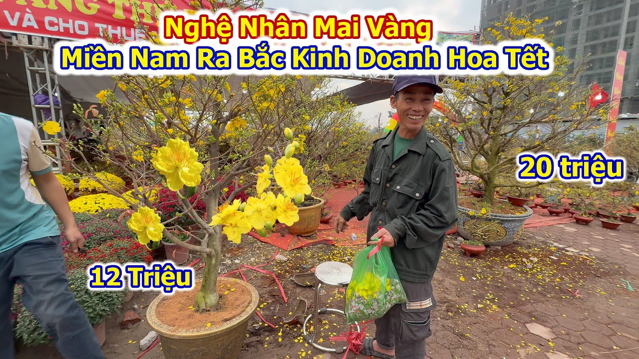 Bất Ngờ Khách Đổ Về Chợ Hoa Xuân Cổ Linh Long Biên Sắm Tết