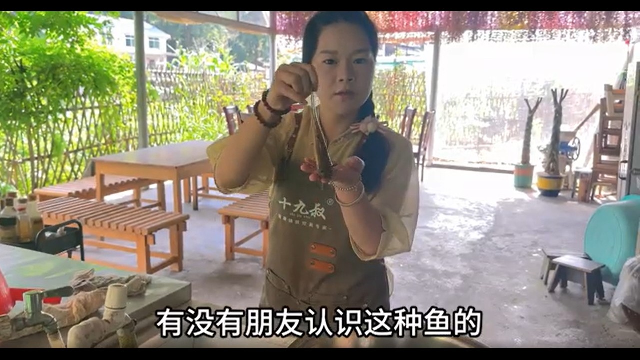 叔叔和大姨一大早抓了好多鱼回家，周老板熬了一大桶燕窝送过来