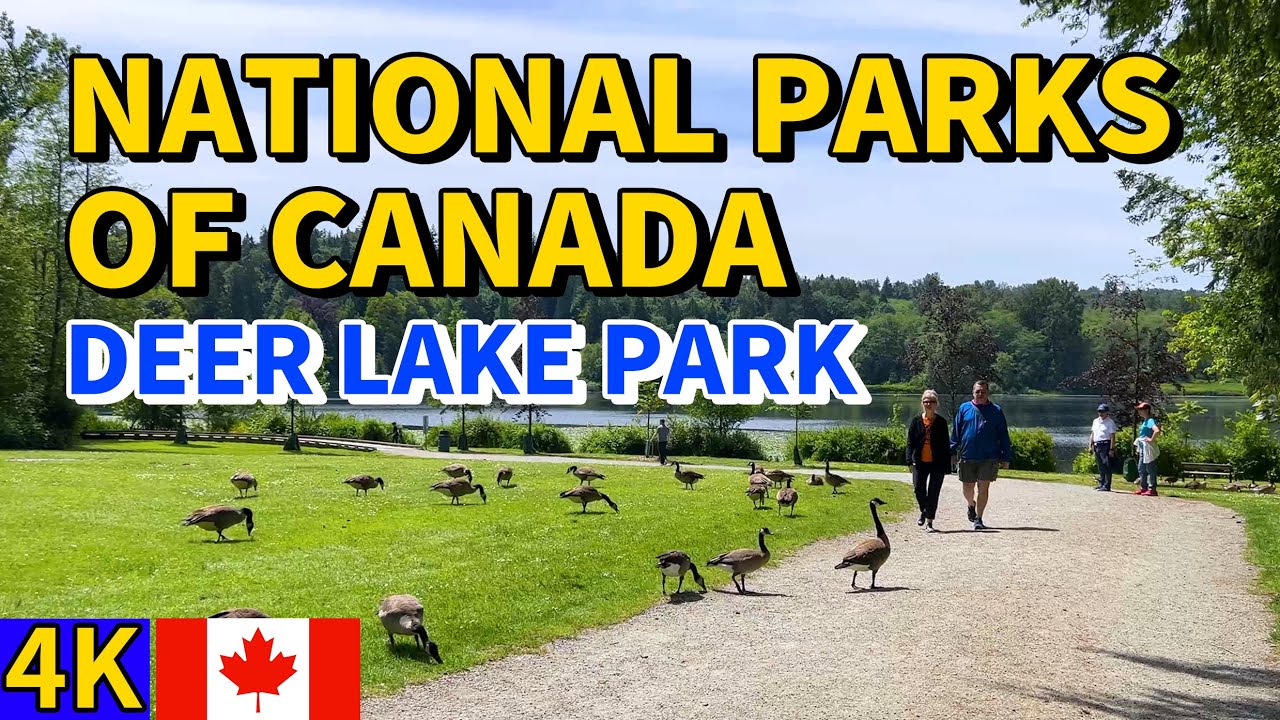 Walking Around Deer Lake Park - National Parks of Burnaby B.C. CANADA | 4k