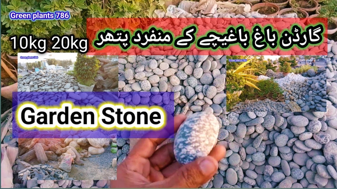 Cheapest pebbles | Garden stone | pebbles | green plants 786