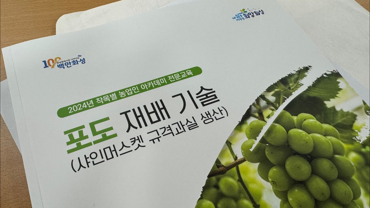 2024년 농업인 아카데미 전문 교육 - 1편. 포도 재배 기술(샤인머스켓 규격과실 생산) - 무핵재배 수정 알솎이 관리 방법
