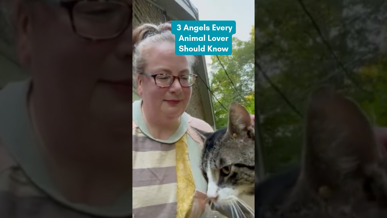 3 Angels Every Animal Lover Should Know | Angel Guidance for Pets & Animals