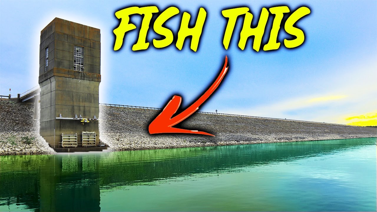 LAKE O THE PINES Fall Fishing Is Getting Good! (LAKE FISHING)