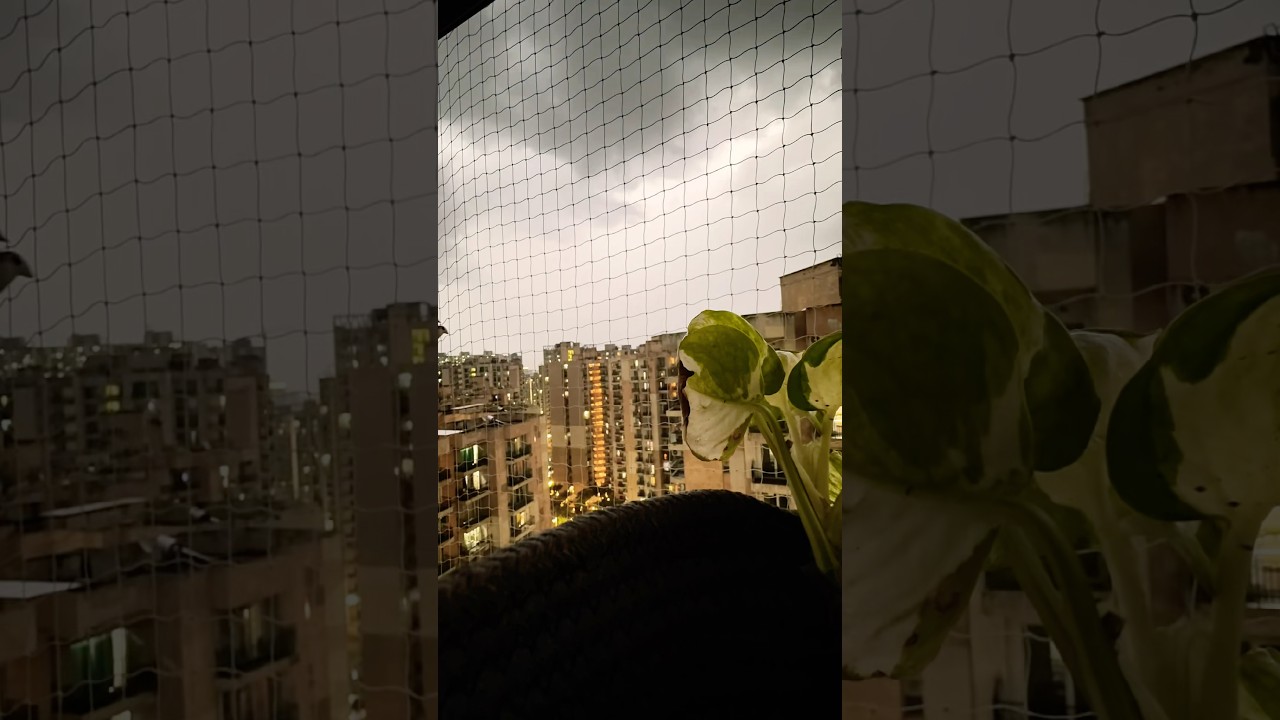Rainstorm in Delhi NCR #rain #rainsounds  #rainstorm #rainyday #storm #storms #delhi #stormyday