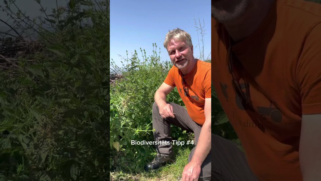 Tipps vom Archehof zur F&ouml;rderung der Biodiversit&auml;t - konkret umsetzbar