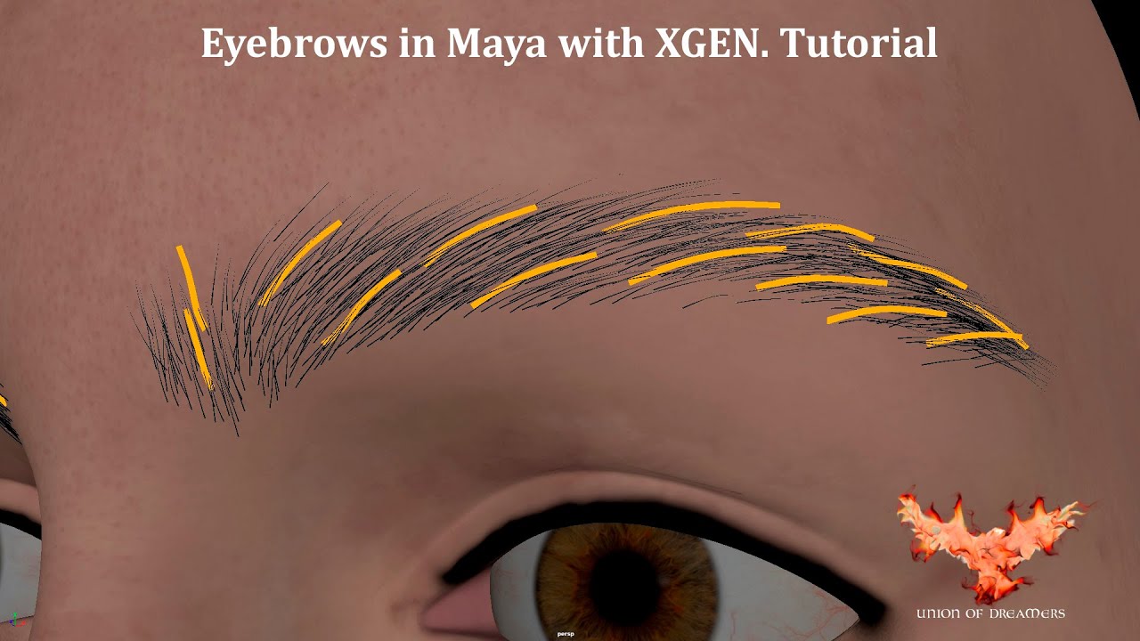 Cómo crear cejas en Xgen / Eyebrows in Xgen. Tutorial