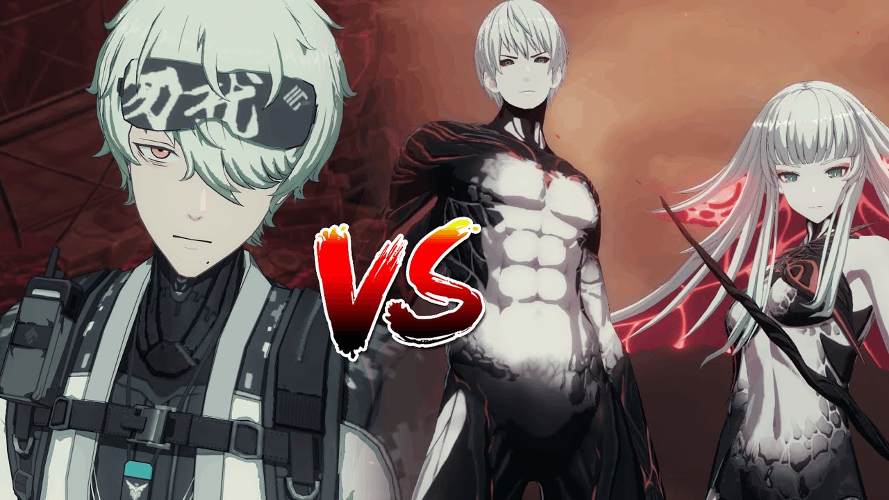 【Punishing: Gray Raven】Wanshi vs The Twin No Damage