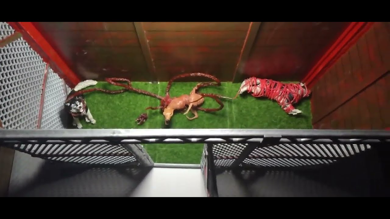 The Thing (1982) Dog Kennel Custom NECA