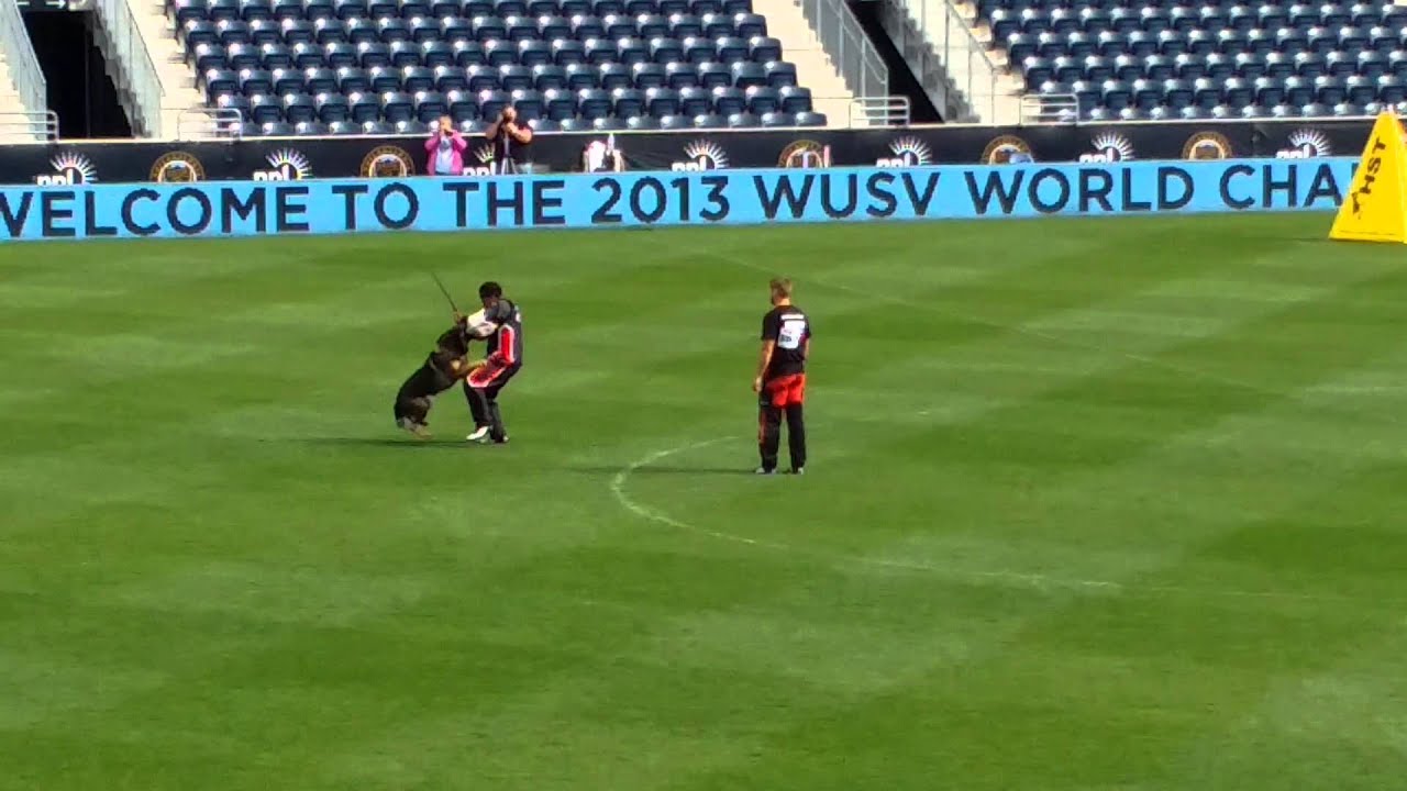 WUSV 2013 Witz Eqidius