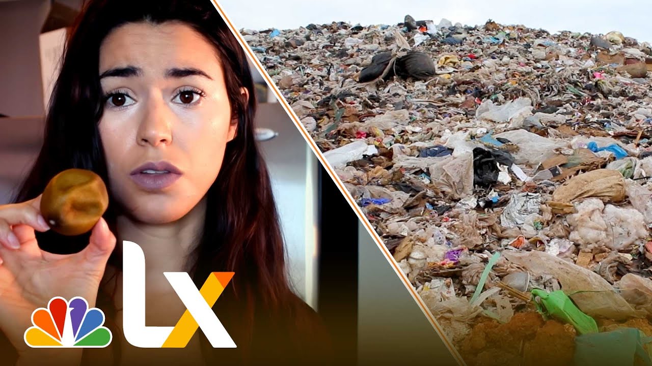 To Minimize My Food Waste, I Tried Dumpster Diving | NBCLX