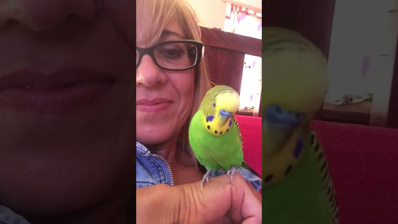 #dollycocoritaparlante
