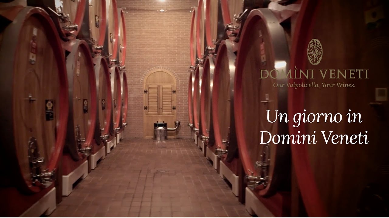 Un giorno in Domìni Veneti