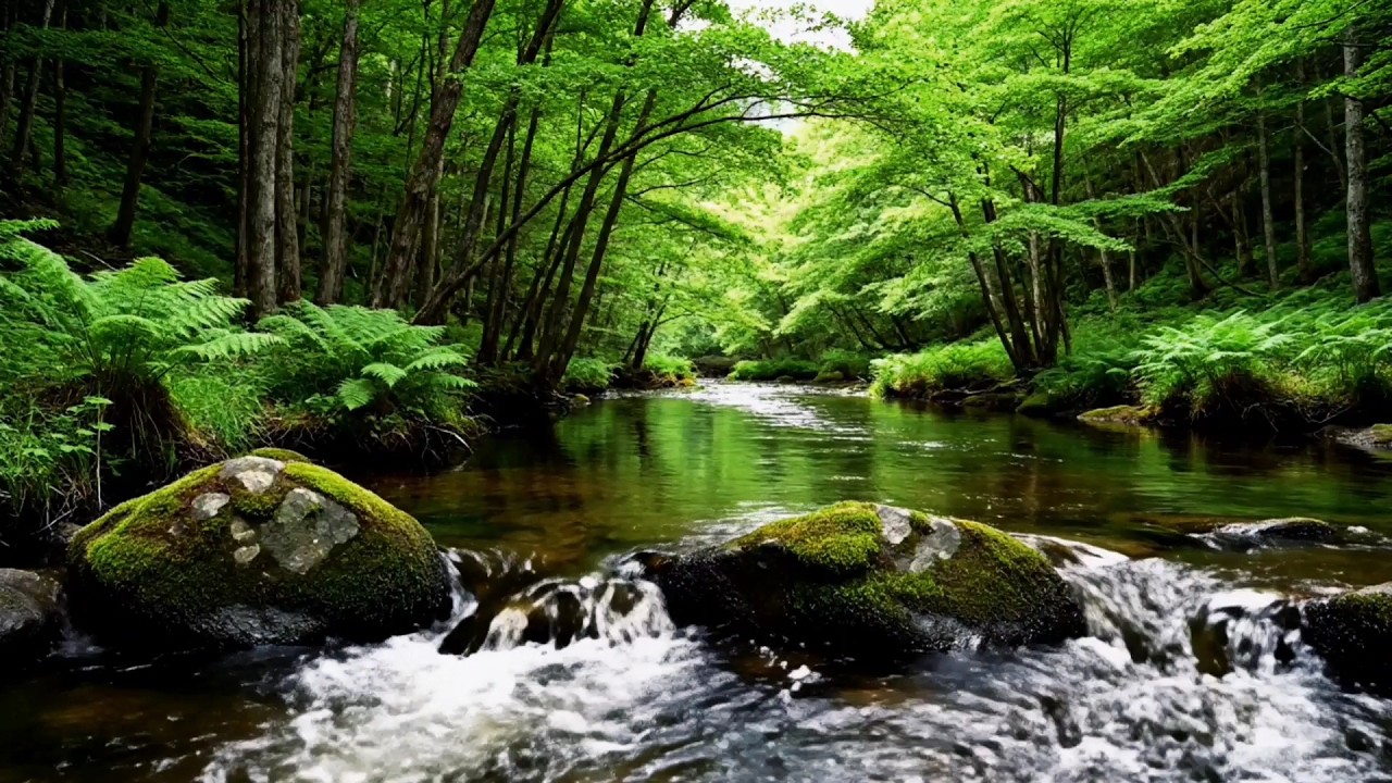 Gentle River Sounds to Relax Your Mind and Fall Asleep Fast (No Music)