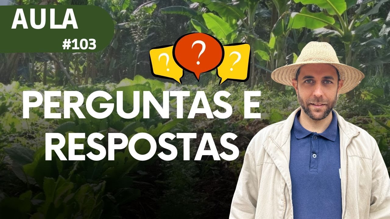 Aula #103- Pergunta e Respostas