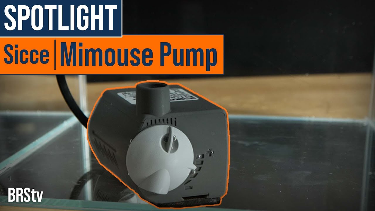 A Tiny, Silent Pump for Nano Aquariums and More... For Only $20? Sicce MI Mouse Pump
