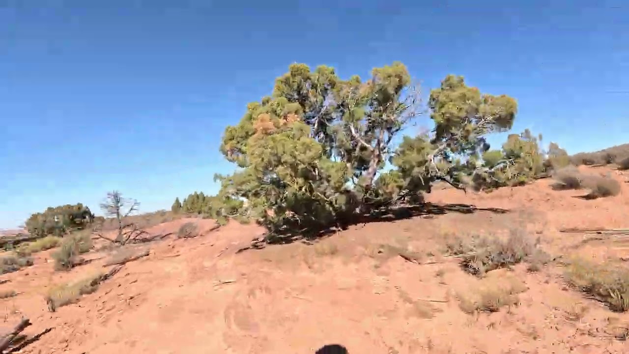 20251102V10 Navajo Rocks Loop
