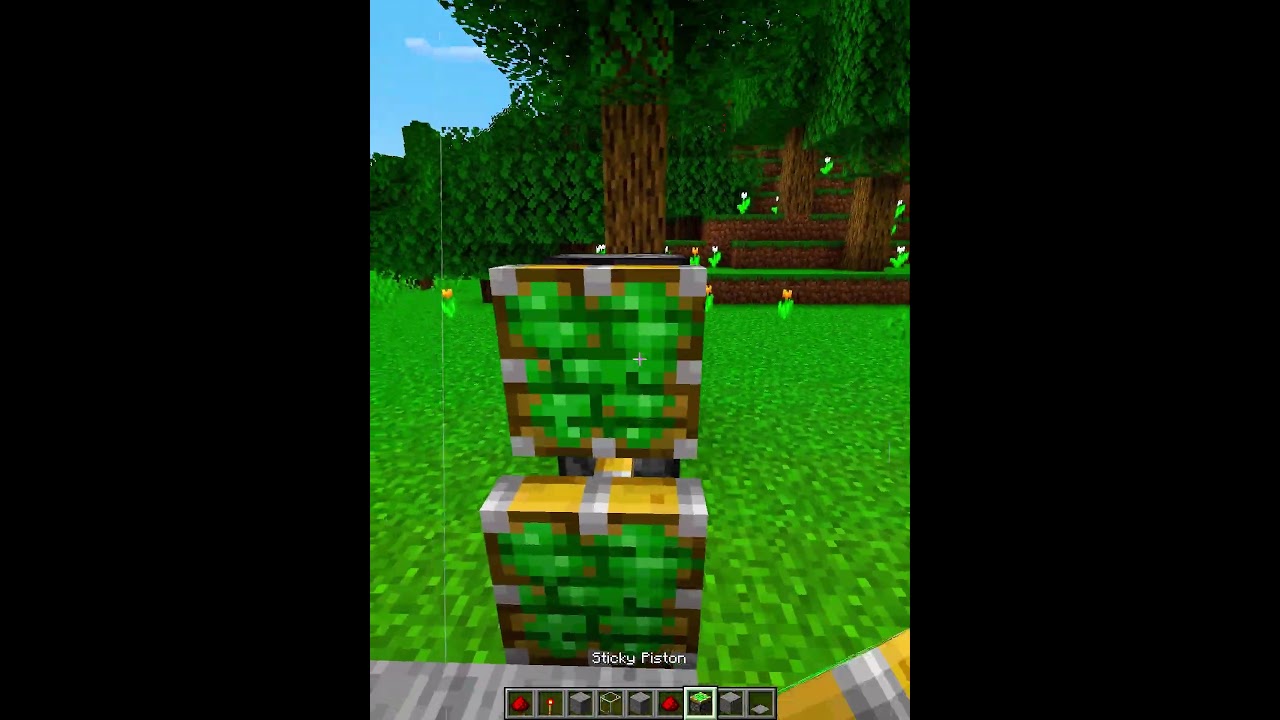 Minecraft Automatic Door💀