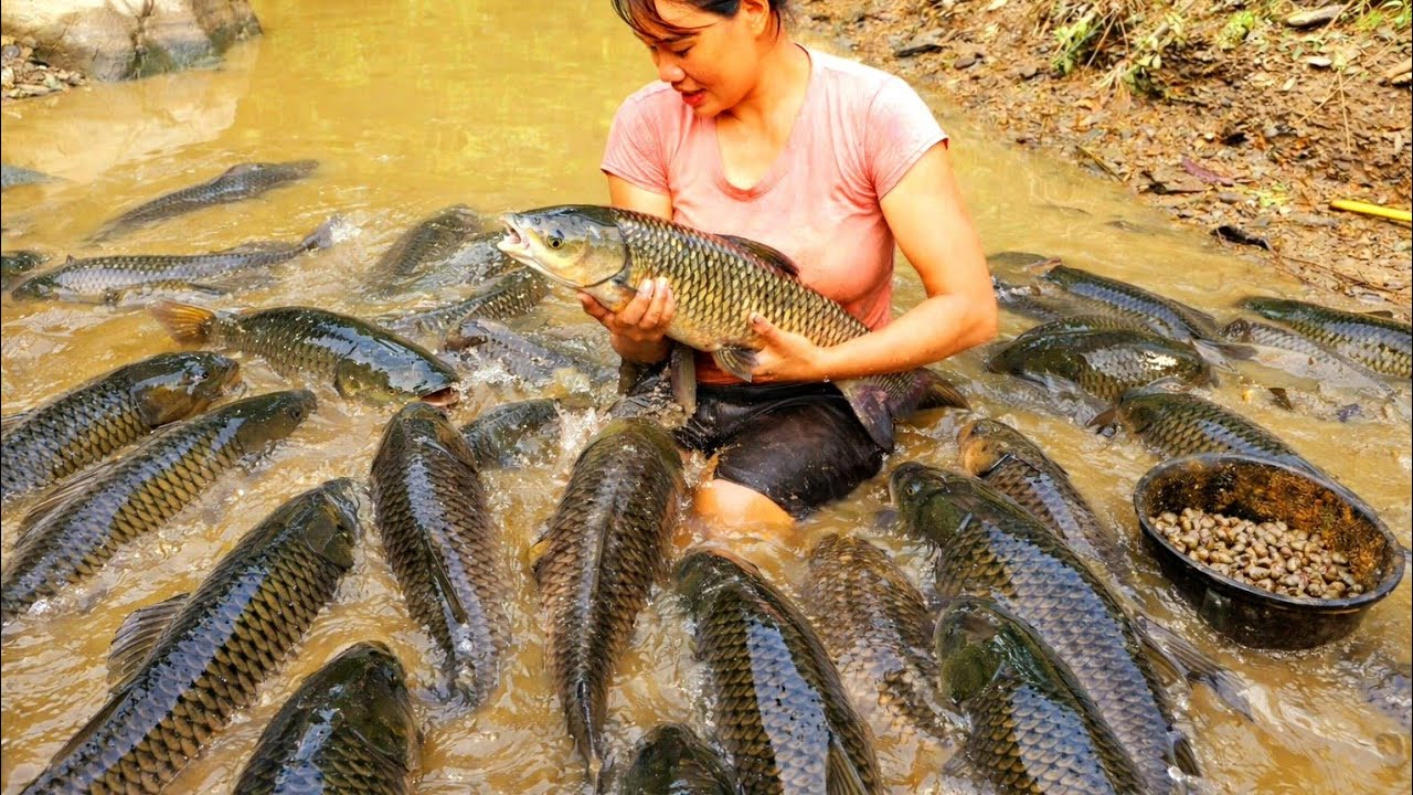 The process of catching and preserving giant fish | Hong new  life