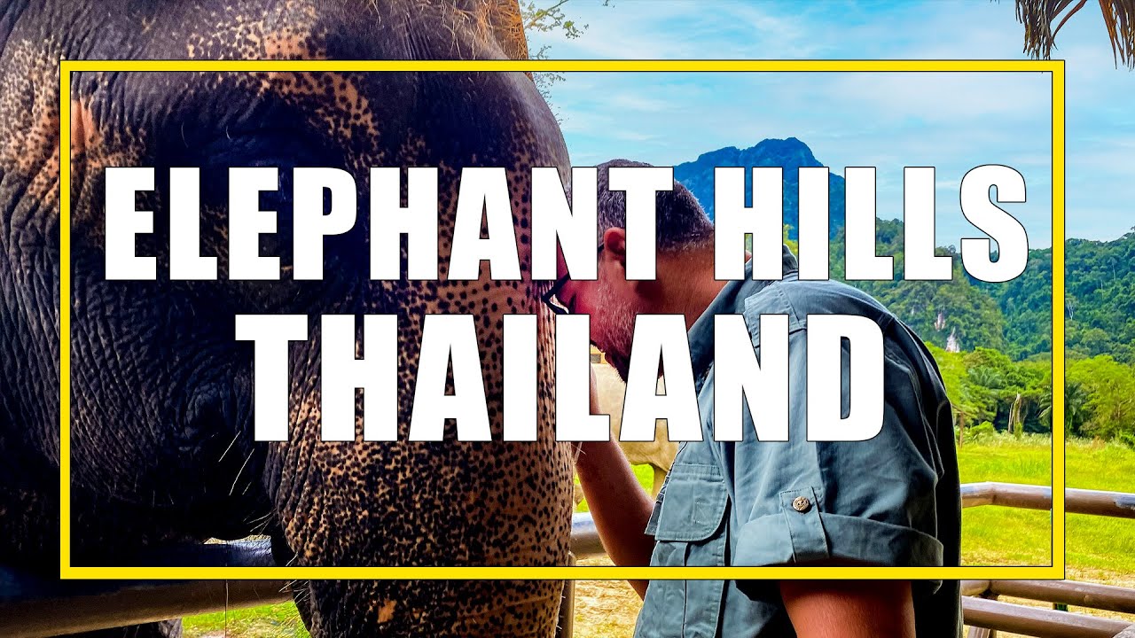 Elephant Hills Thailand: наше трёхдневное сафари по джунглям и озеру в этичном заповеднике для сл...