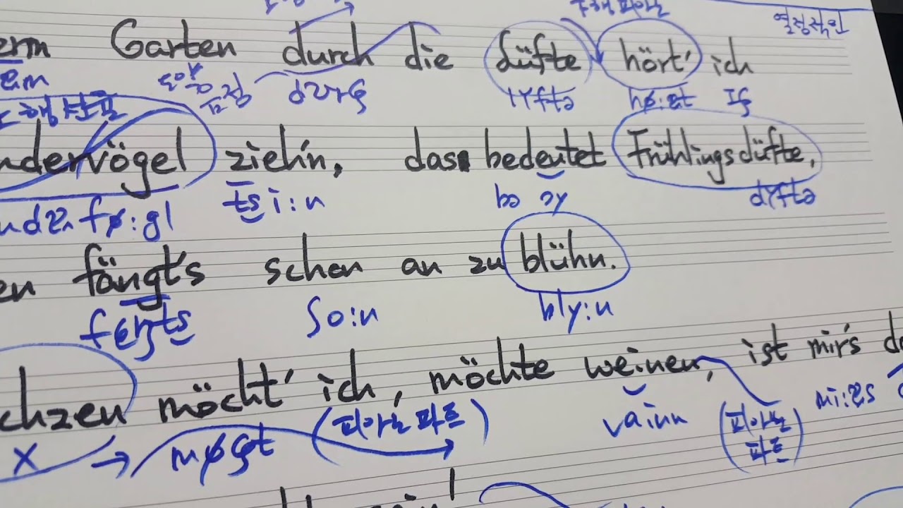 Schumann Liederkreis   no.12  Fruehlingsnacht 슈만 리더크라이스 봄밤 가사 해설 명지영