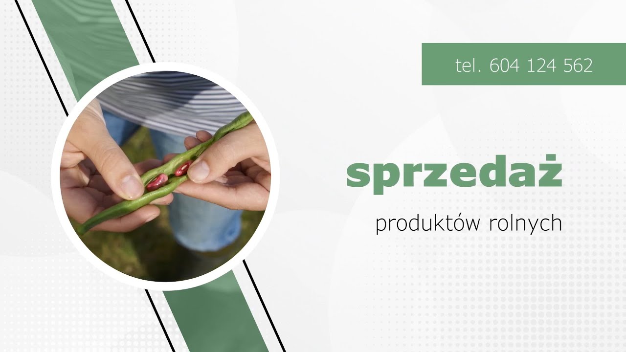 Sprzedaż warzyw Kryszyn Skup i Sprzedaż Płod&oacute;w Rolnych Mirosław Łąkowski