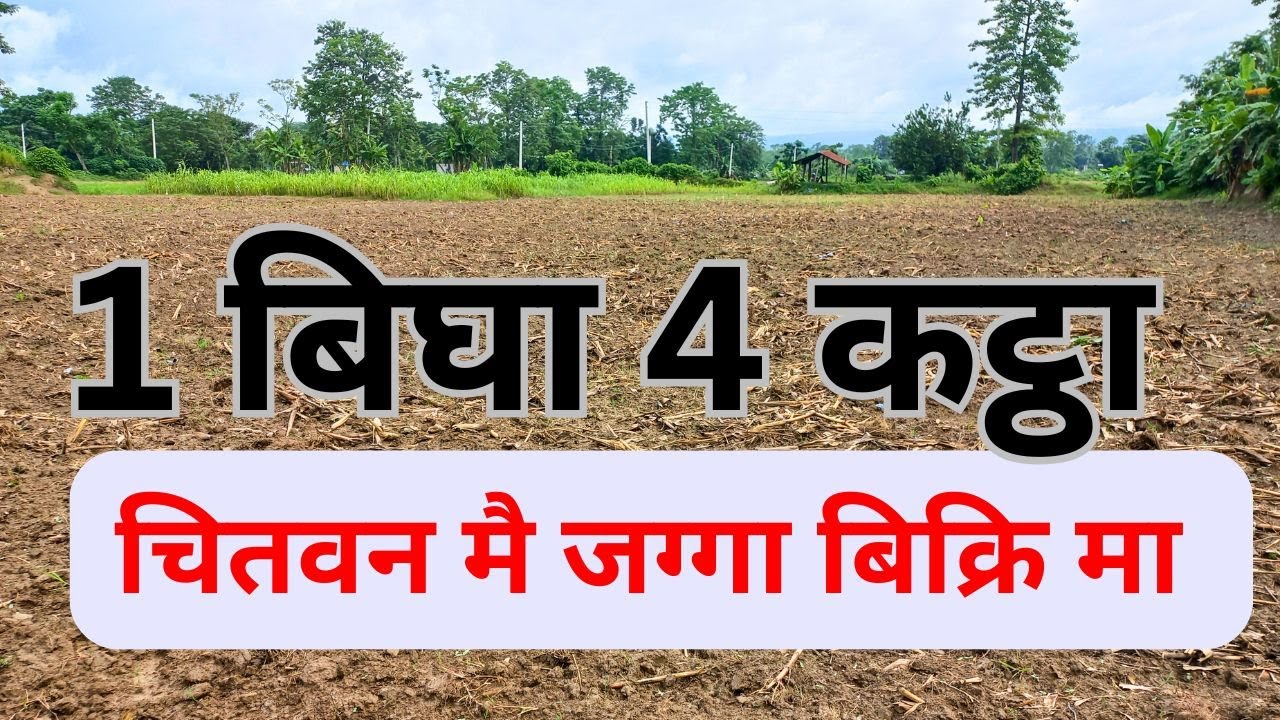 land on sale in kumroj chitwan nepal #best_property #ghar_jagga_bank #sasto_ramro_jagga