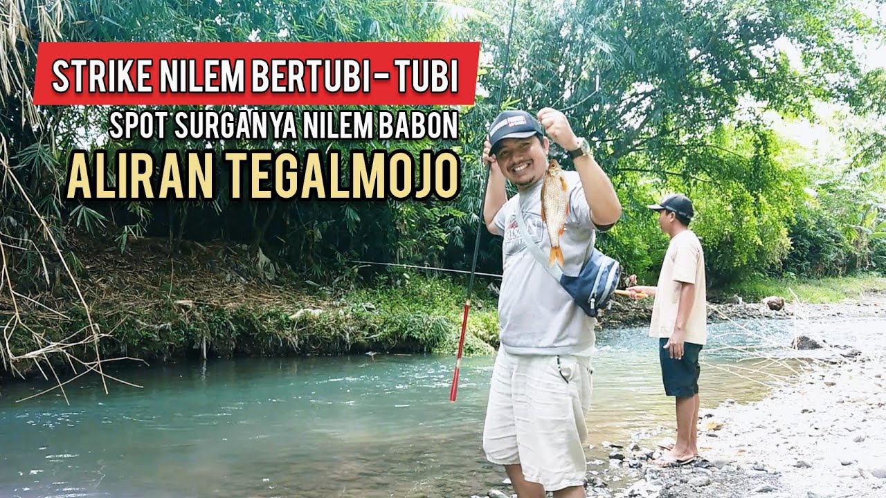 Hasil tangkapan mancing hari ini ikan melem nilem babon disungai