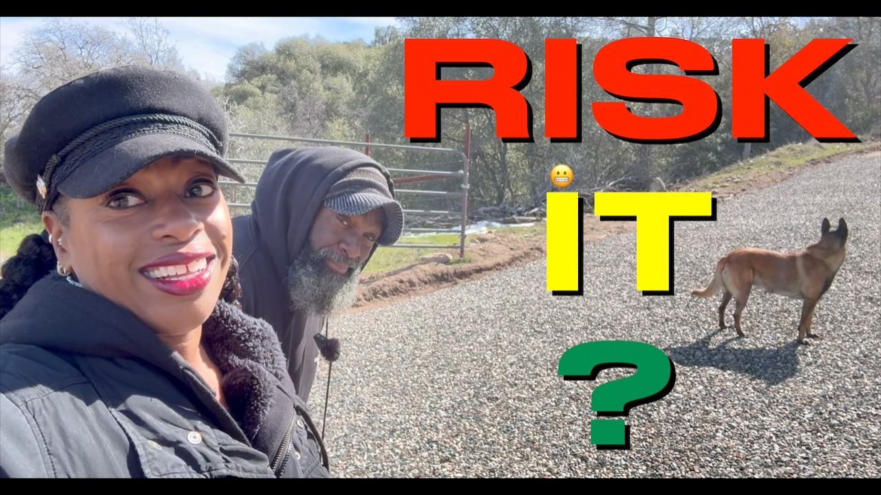 Do We RISK IT… Or Walk? 😳