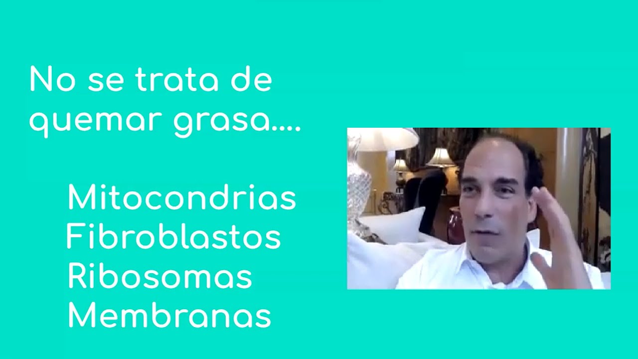 No se trata de quemar grasa (ayuno profundo) por Ernesto Prieto Gratac&oacute;s