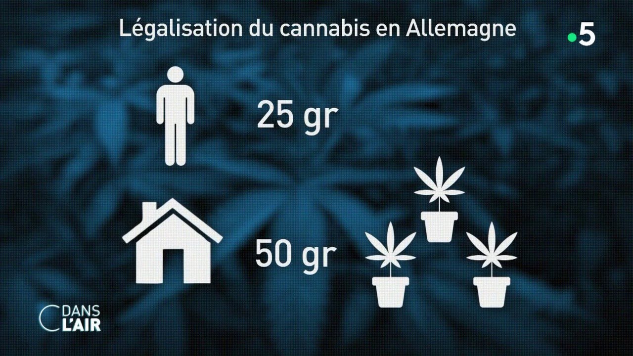 La légalisation du cannabis en Allemagne - reportage #cdanslair 12.04.2024