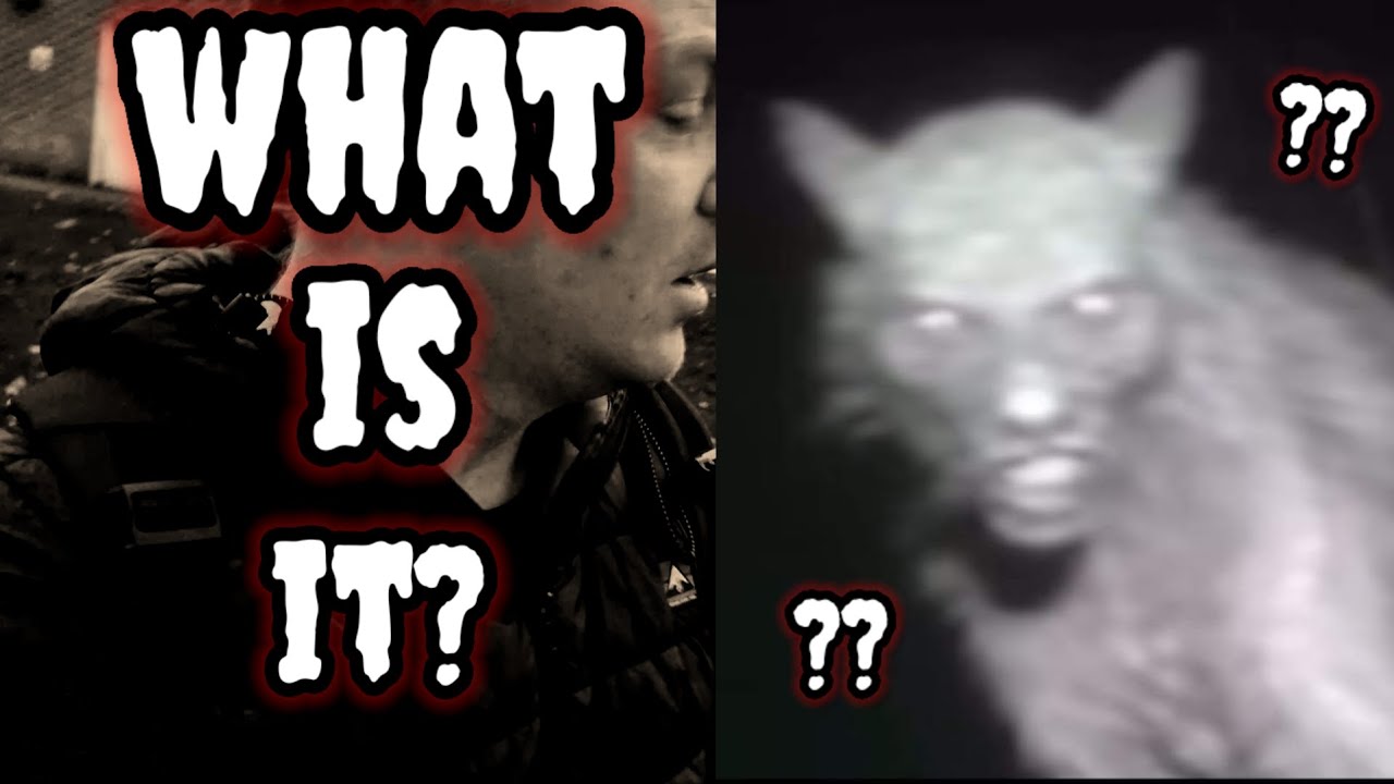 Mysterious Cryptid Caught On Camera in The UK?