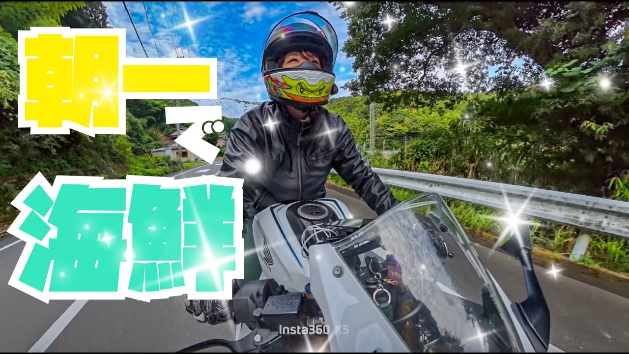 【バイク女子】朝から海鮮は最高に幸せ💚