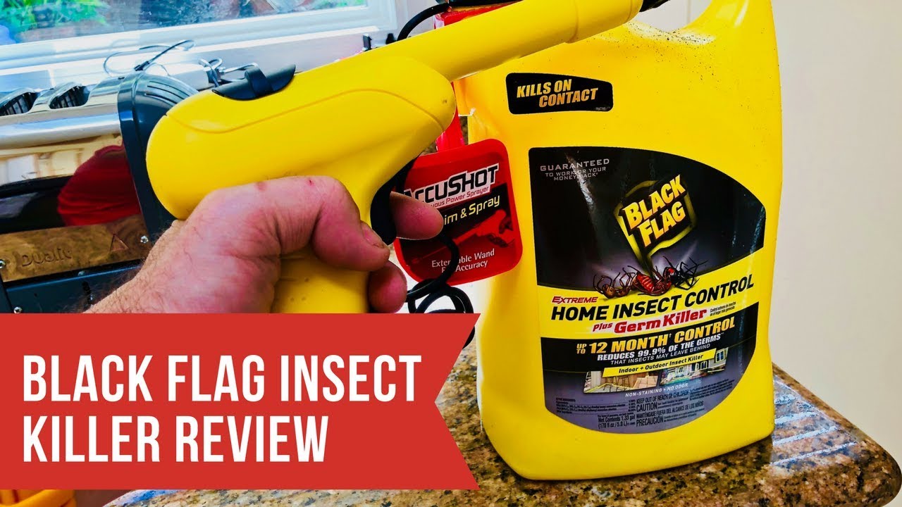 Black Flag Insect Killer Review Video And Demonstration