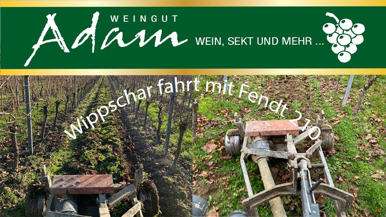 Weingut Adam| Wippscharfahrt mit dem Fendt 210V