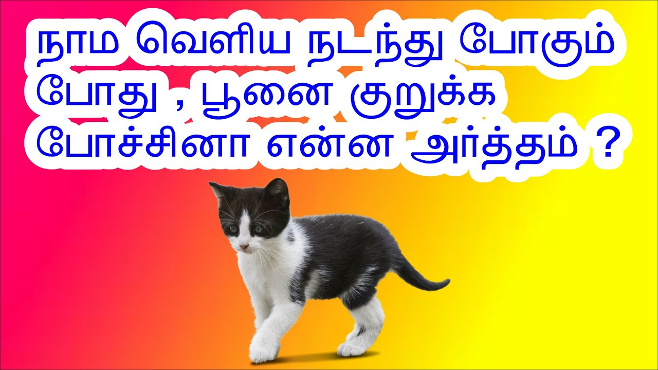 மொக்க ஜோக்ஸ் |அறுவை ஜோக்ஸ் | Latest Mokka Jokes |Aruvai Jokes|Latest Kadi Jokes |Latest Tamil Jokes|