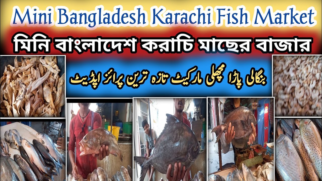 Mini Bangladesh Karachi Fish Market||Cheapest Fish Market In Karachi||Fish Price Update|Karachi Info