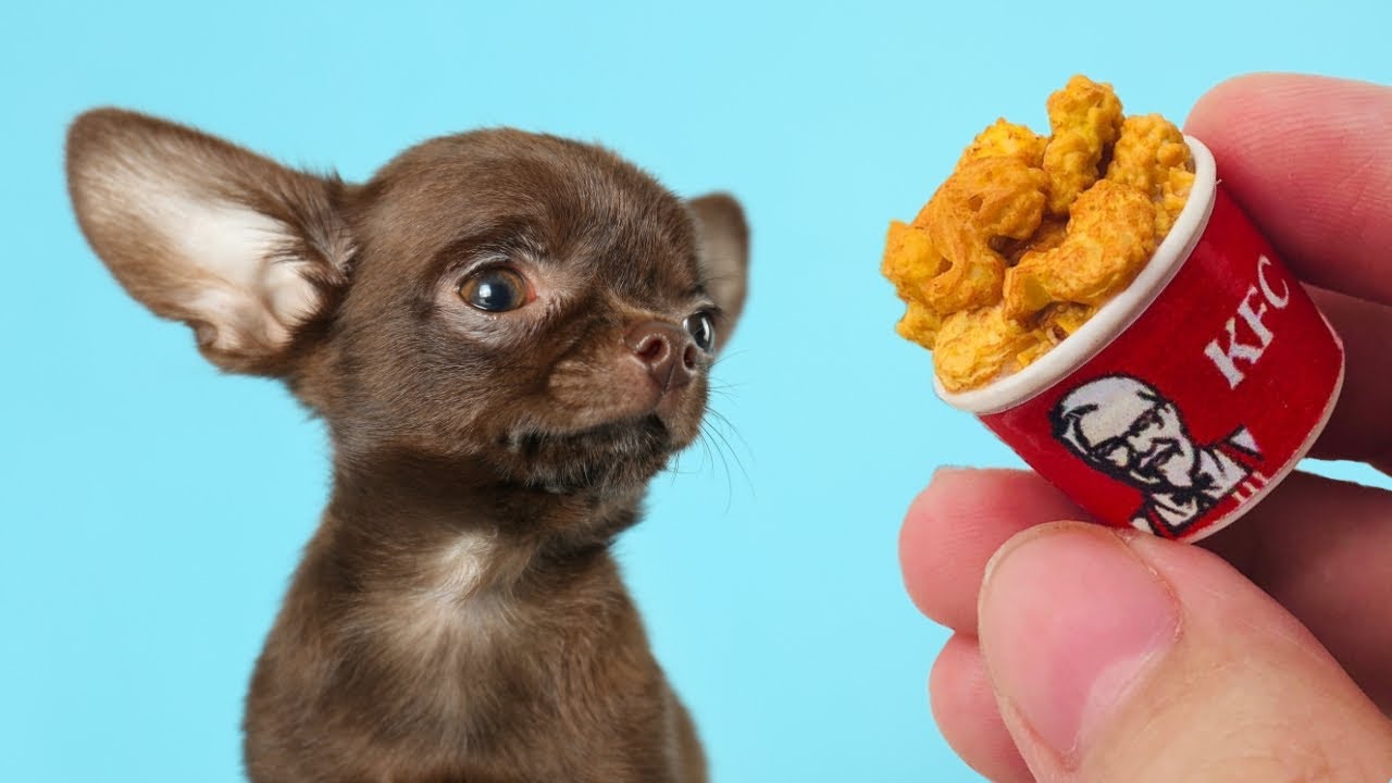 Making Tiny Foods for a Tiny Rescue Dog 🍩🍔🐶