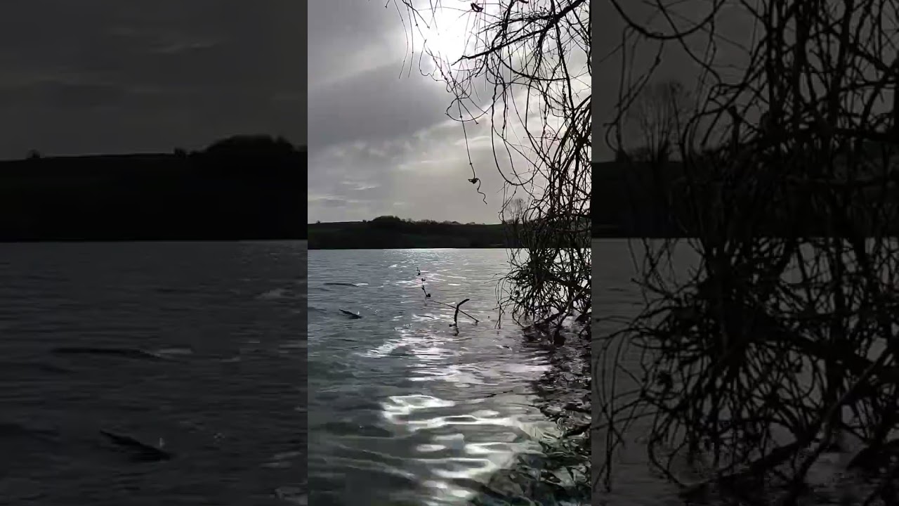 رویاهای از دست رفته.