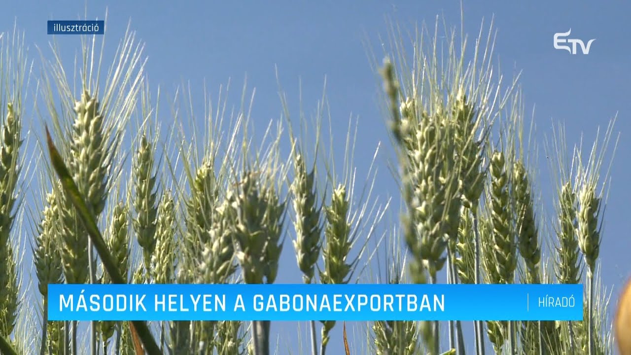 Második helyen a gabonaexportban – Erdélyi Magyar Televízió