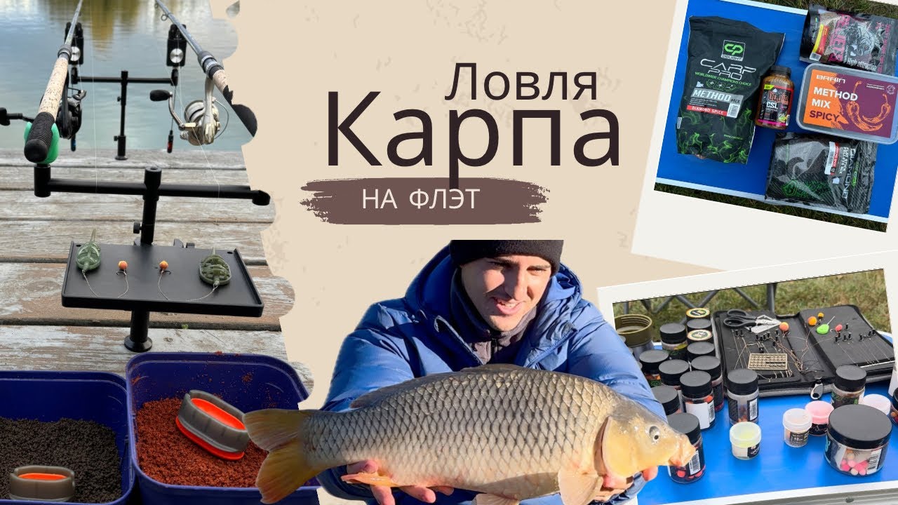ФЛЭТ ФИДЕР  | Как и на что ловить карпа осенью🎣 #рыбалка #карп #фидер #карпфишинг #флэт #fishing