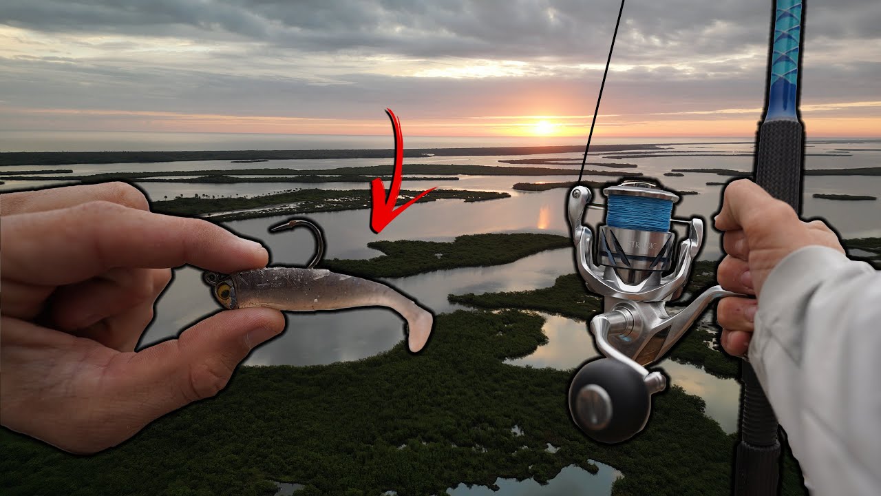 Inshore Slam Caught on NLBN! Redfish, Snook, Trout!